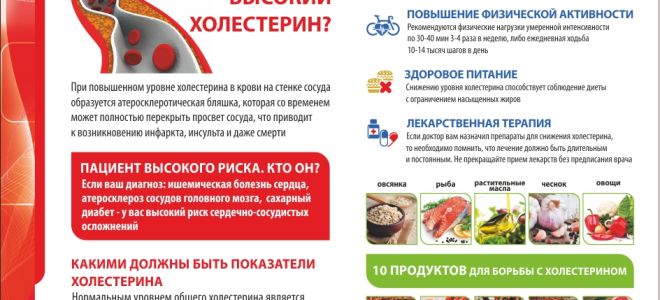 Снижение уровня холестерина – путь лечения вмд – все о зрении