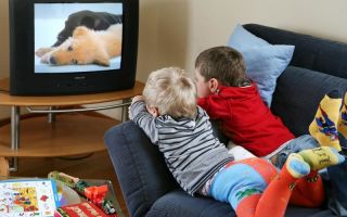 Взрослые в ответе за пристрастие детей к телевизору и компьютеру – все о зрении