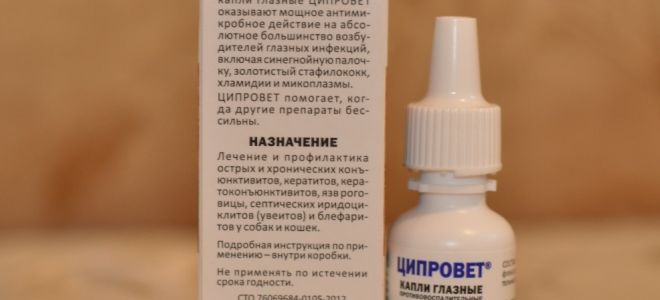 Антибактериальные капли для глаз – все о зрении