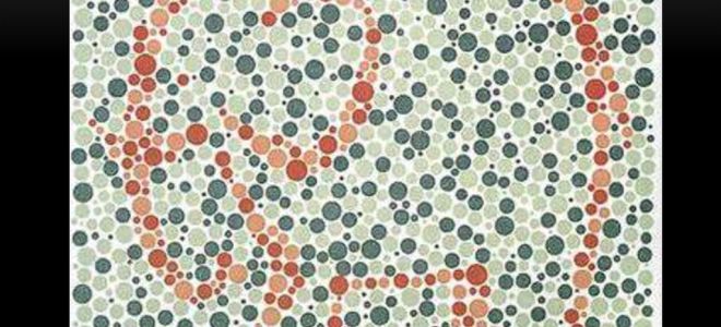 Тест на цветовосприятие – все о зрении