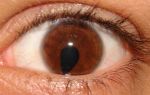 Нарушение зрения и патологии – все о зрении