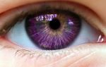 Фиолетовый цвет глаз – все о зрении